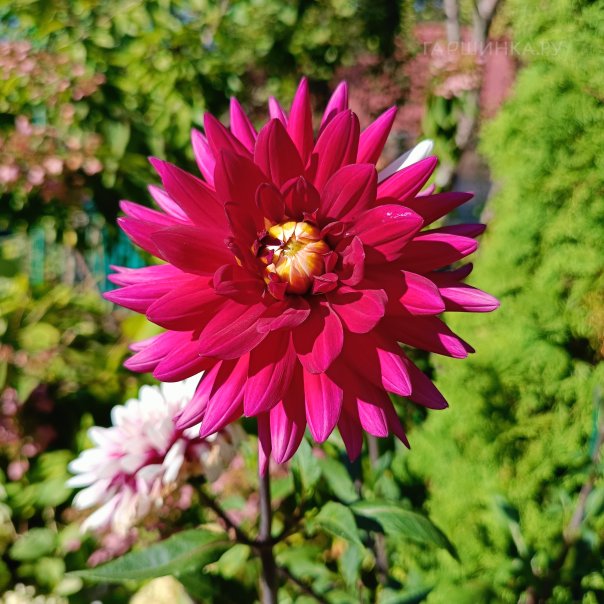 превью изображения отзыва