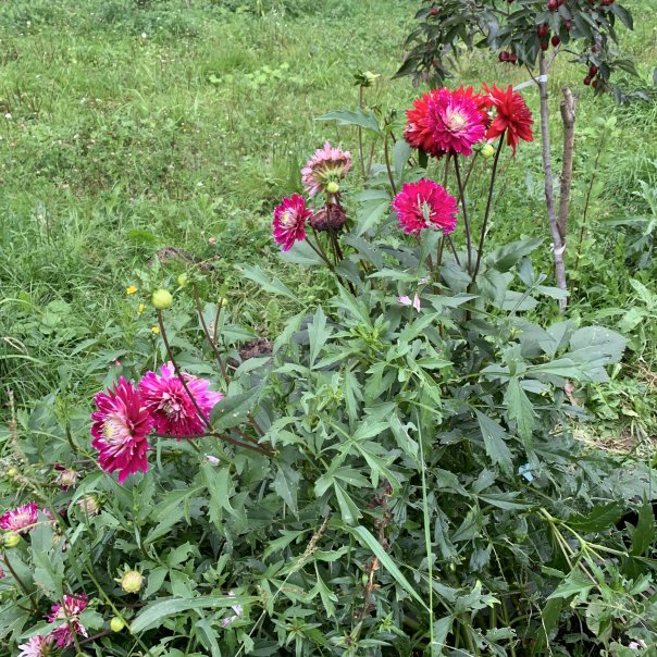 превью изображения отзыва