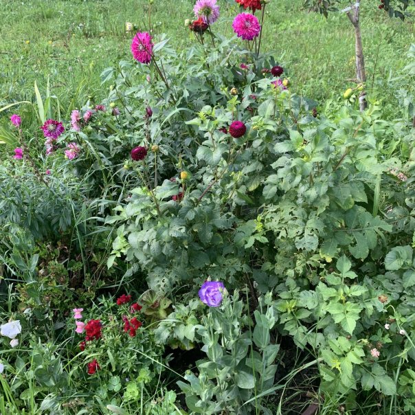 превью изображения отзыва