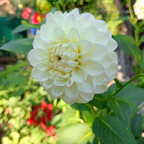 превью изображения отзыва