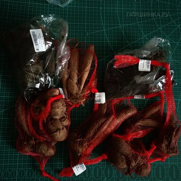 превью изображения отзыва