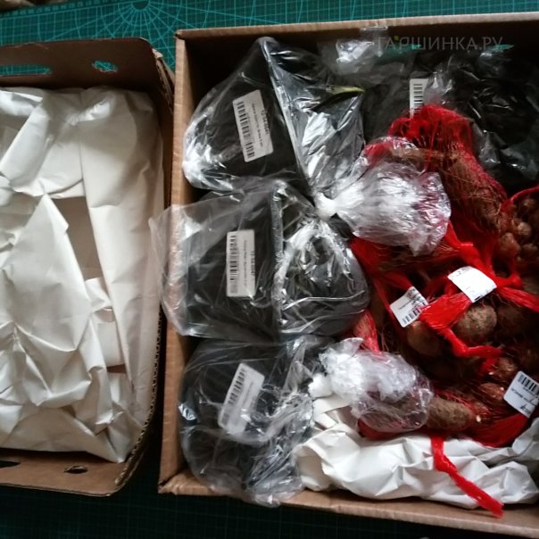 превью изображения отзыва