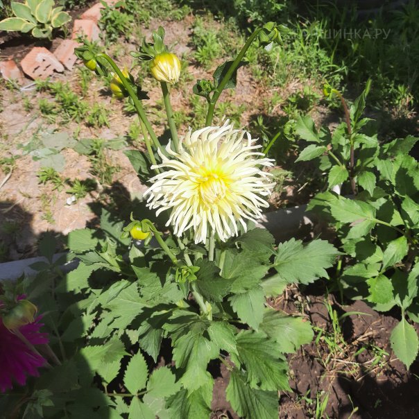 превью изображения отзыва