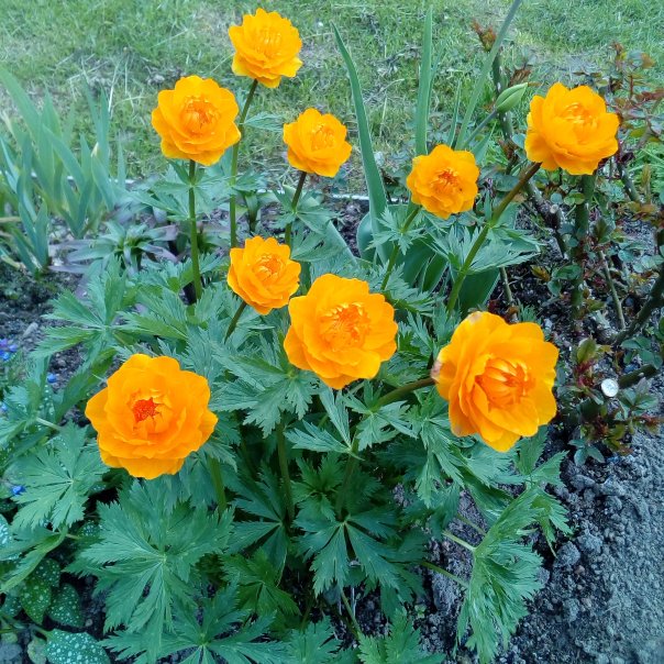 превью изображения отзыва