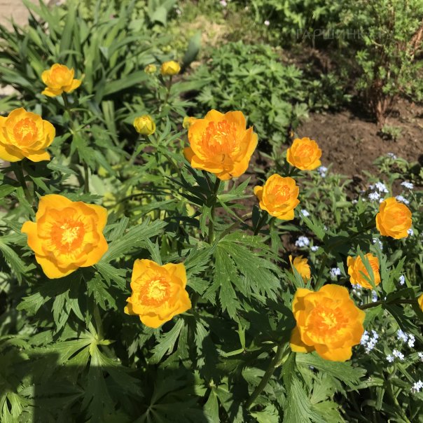 превью изображения отзыва