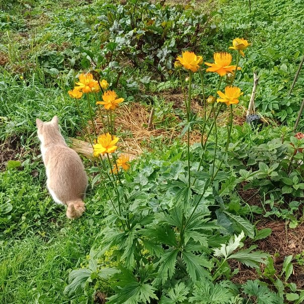 превью изображения отзыва