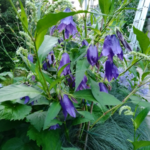 превью изображения отзыва