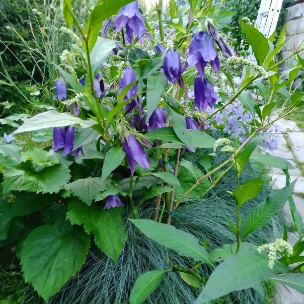 превью изображения отзыва