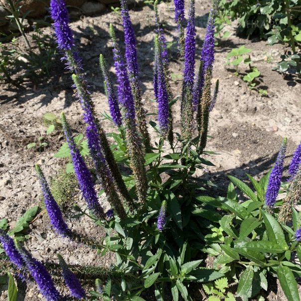 превью изображения отзыва