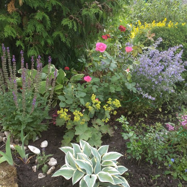 превью изображения отзыва