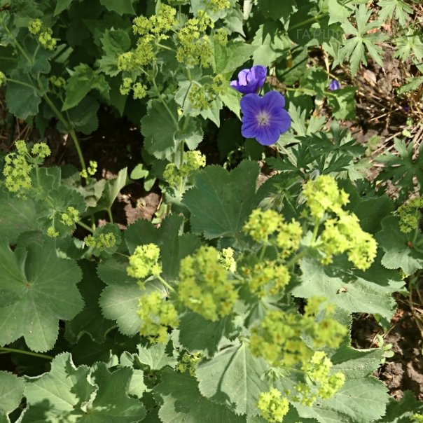 превью изображения отзыва