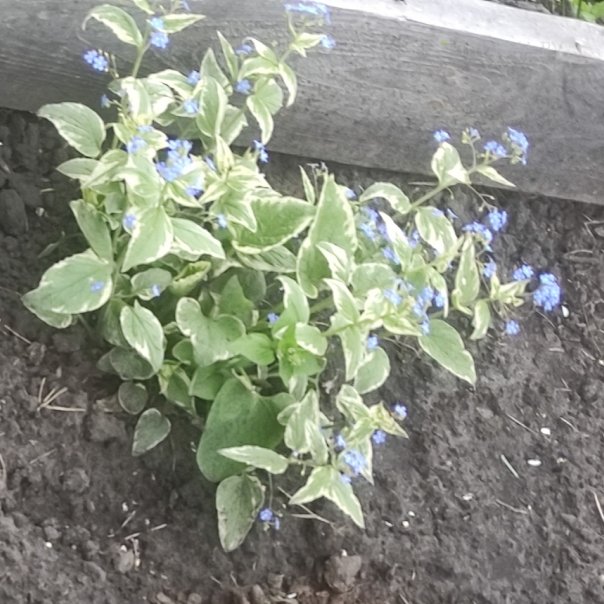 превью изображения отзыва