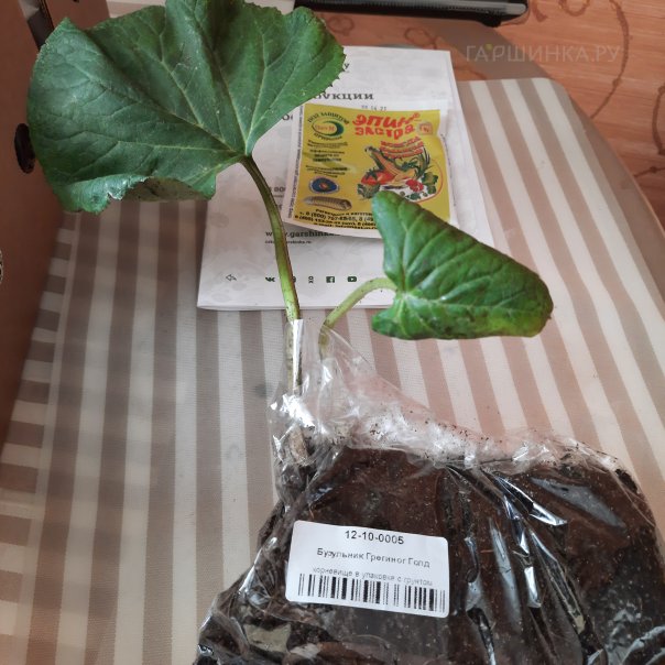 превью изображения отзыва