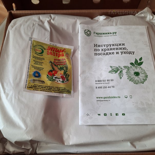 превью изображения отзыва