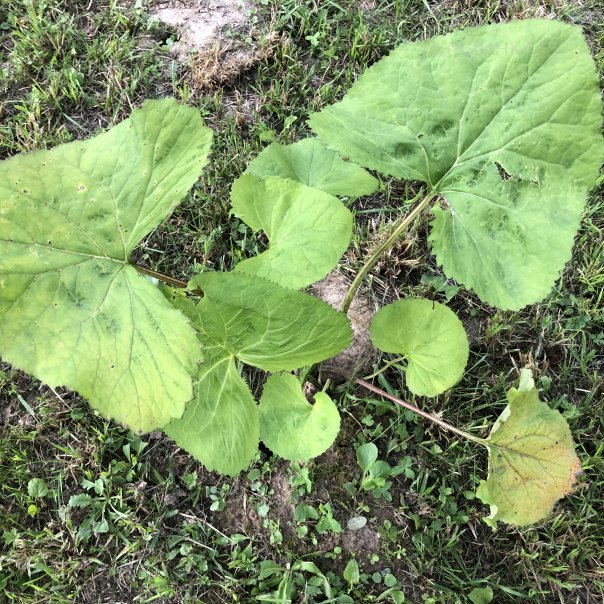 превью изображения отзыва