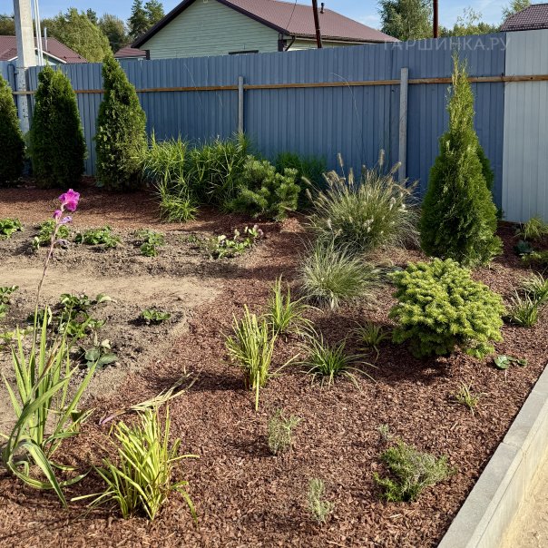 превью изображения отзыва