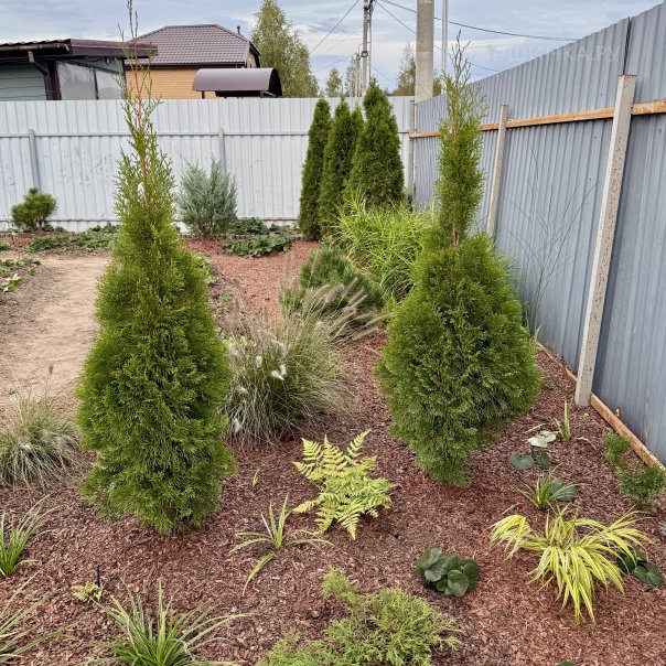 превью изображения отзыва