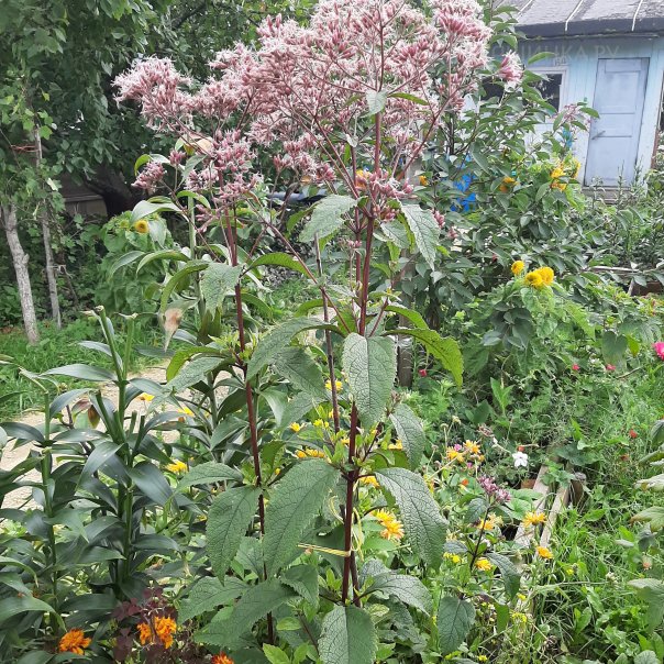 превью изображения отзыва