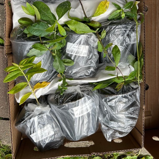 превью изображения отзыва