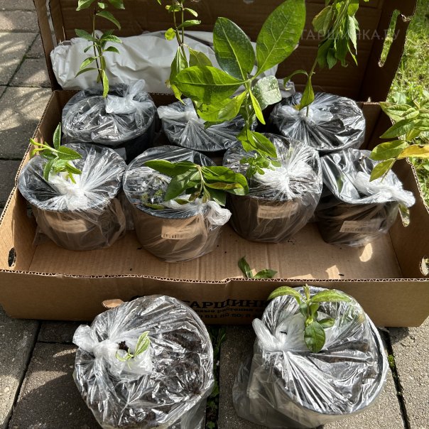 превью изображения отзыва