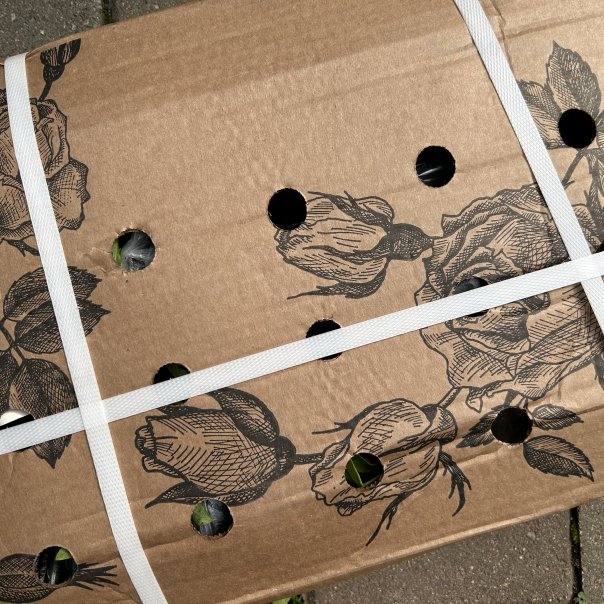 превью изображения отзыва