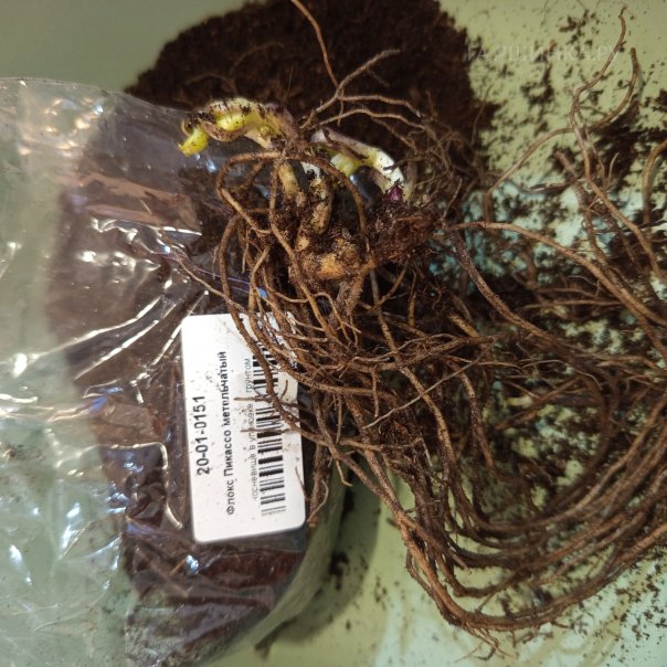 превью изображения отзыва