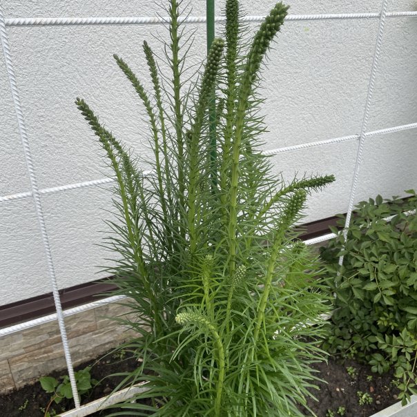 превью изображения отзыва