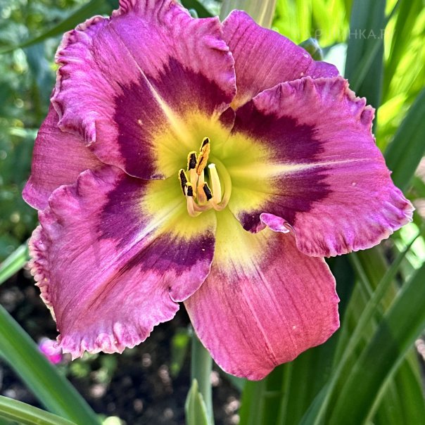 превью изображения отзыва