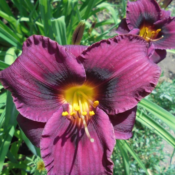 превью изображения отзыва