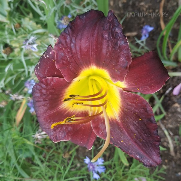 превью изображения отзыва