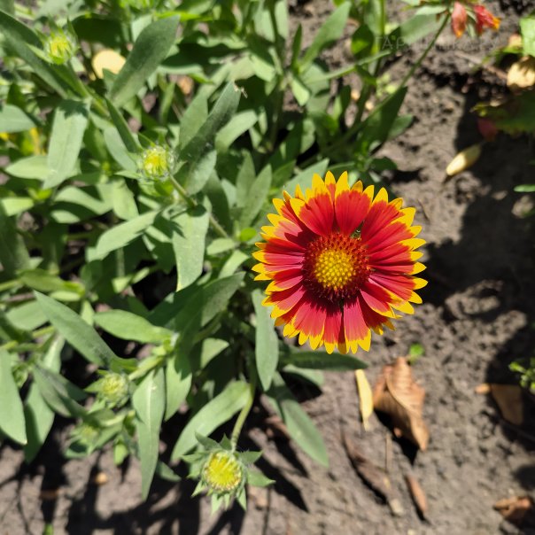 превью изображения отзыва