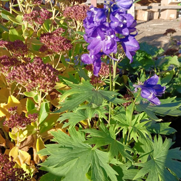 превью изображения отзыва