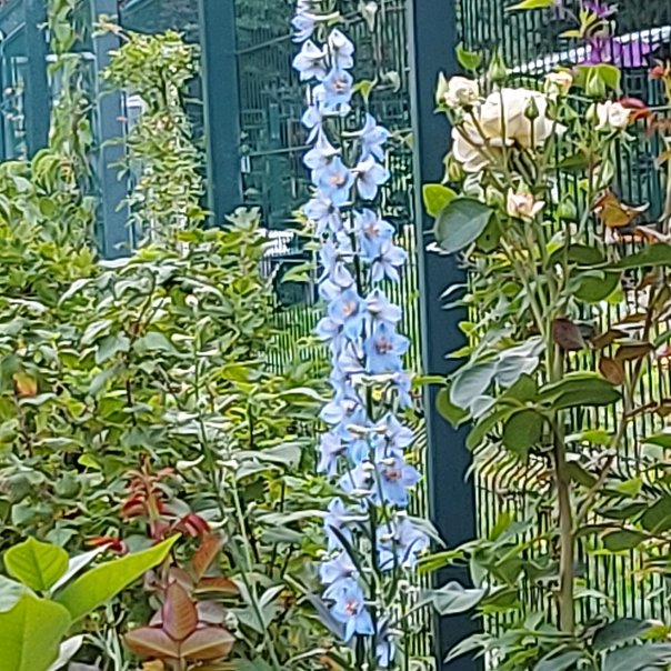 превью изображения отзыва