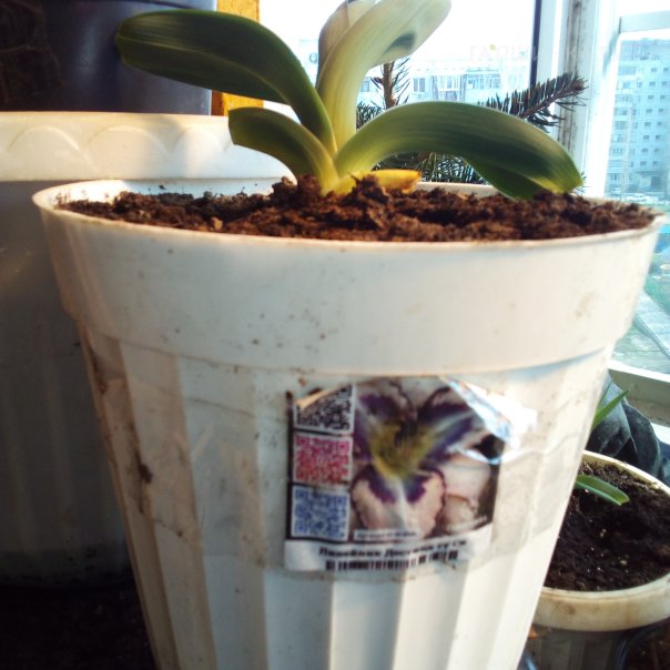 превью изображения отзыва