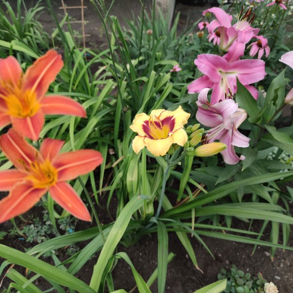 превью изображения отзыва