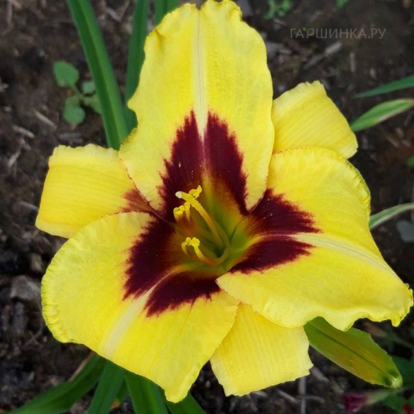 превью изображения отзыва