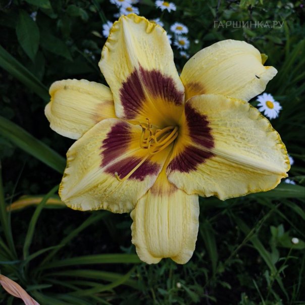 превью изображения отзыва