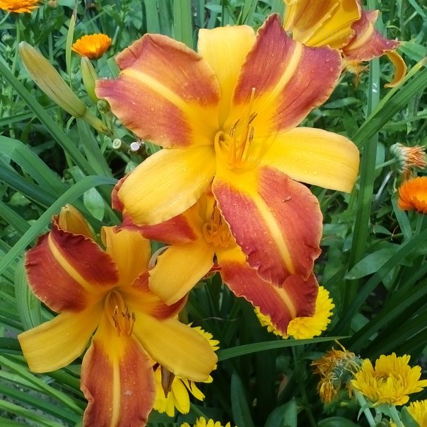 превью изображения отзыва