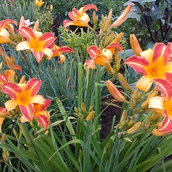 превью изображения отзыва