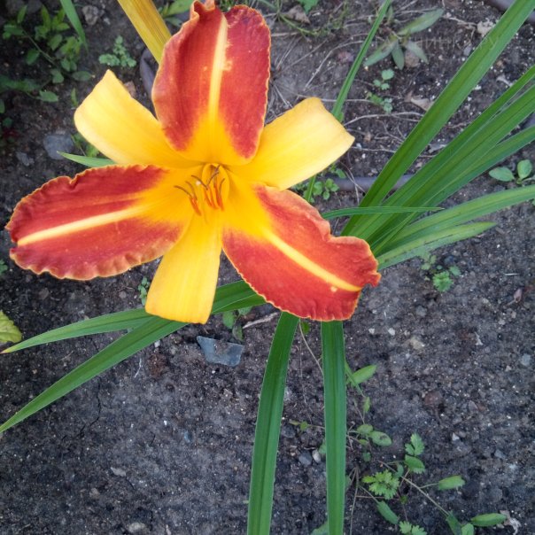 превью изображения отзыва