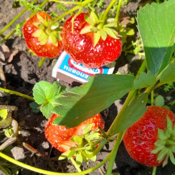 превью изображения отзыва