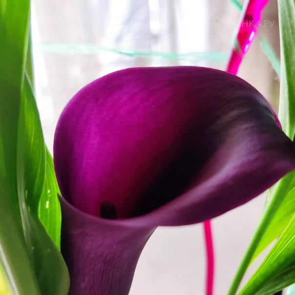 превью изображения отзыва