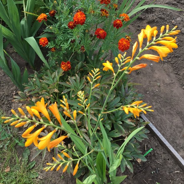 превью изображения отзыва