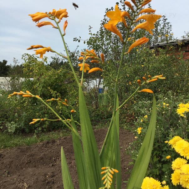 превью изображения отзыва