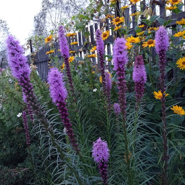 превью изображения отзыва