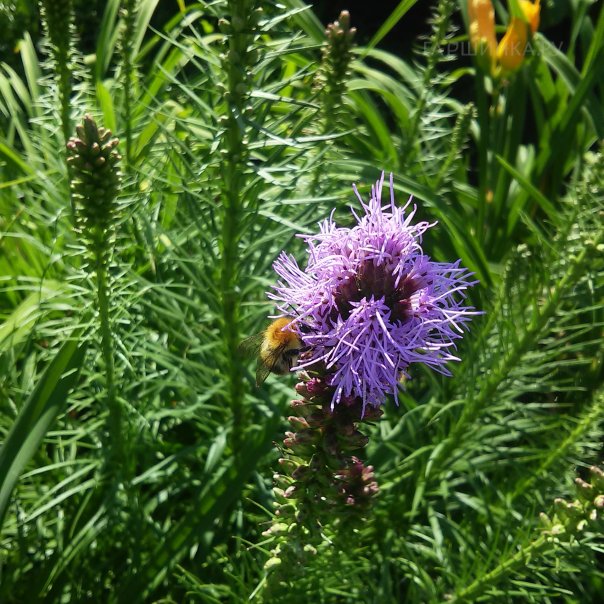 превью изображения отзыва