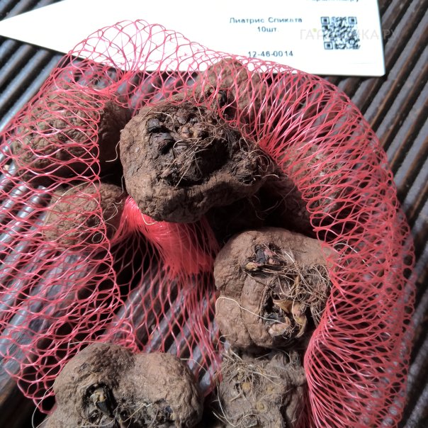 превью изображения отзыва