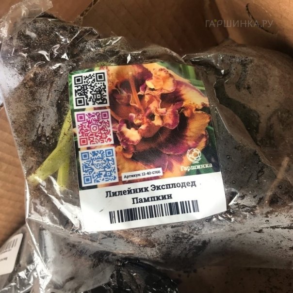 превью изображения отзыва