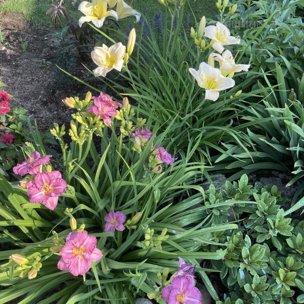 превью изображения отзыва