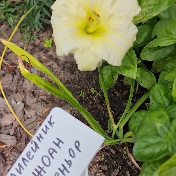 превью изображения отзыва